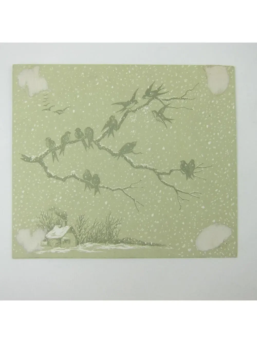 Victorian Christmas Card Flowers Yellow & White Raphael Tuck & Sons Antique